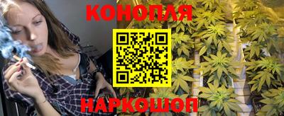 ГАЛЛЮЦИНОГЕННЫЕ ГРИБЫ Малгобек