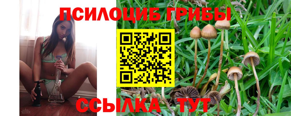 Галлюциногенные грибы мухоморы  Вход с VPN  Будённовск 
