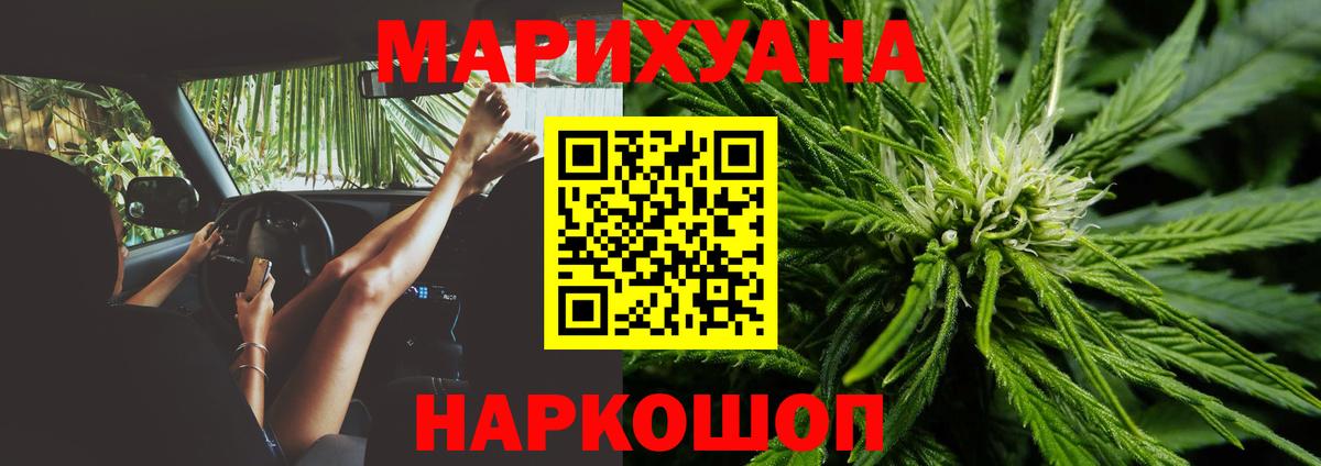 МАРИХУАНА конопля Будённовск